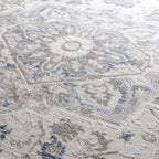 Bakir Medallion Area Rug