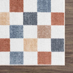 Alie Colorful Area Rug