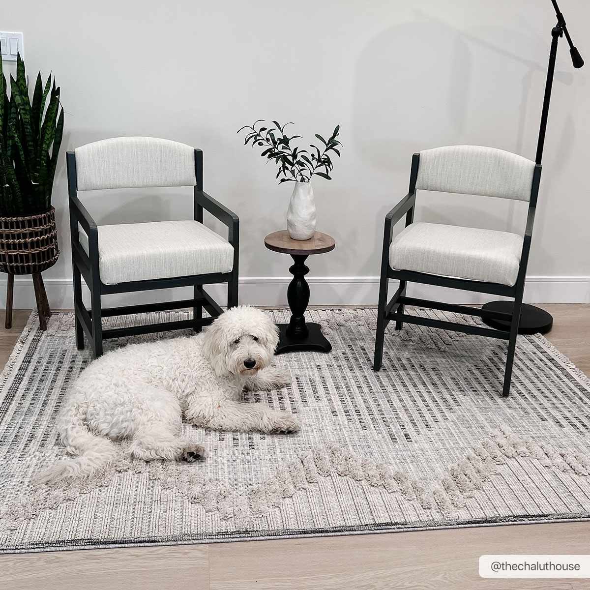 Maulawin Area Rug