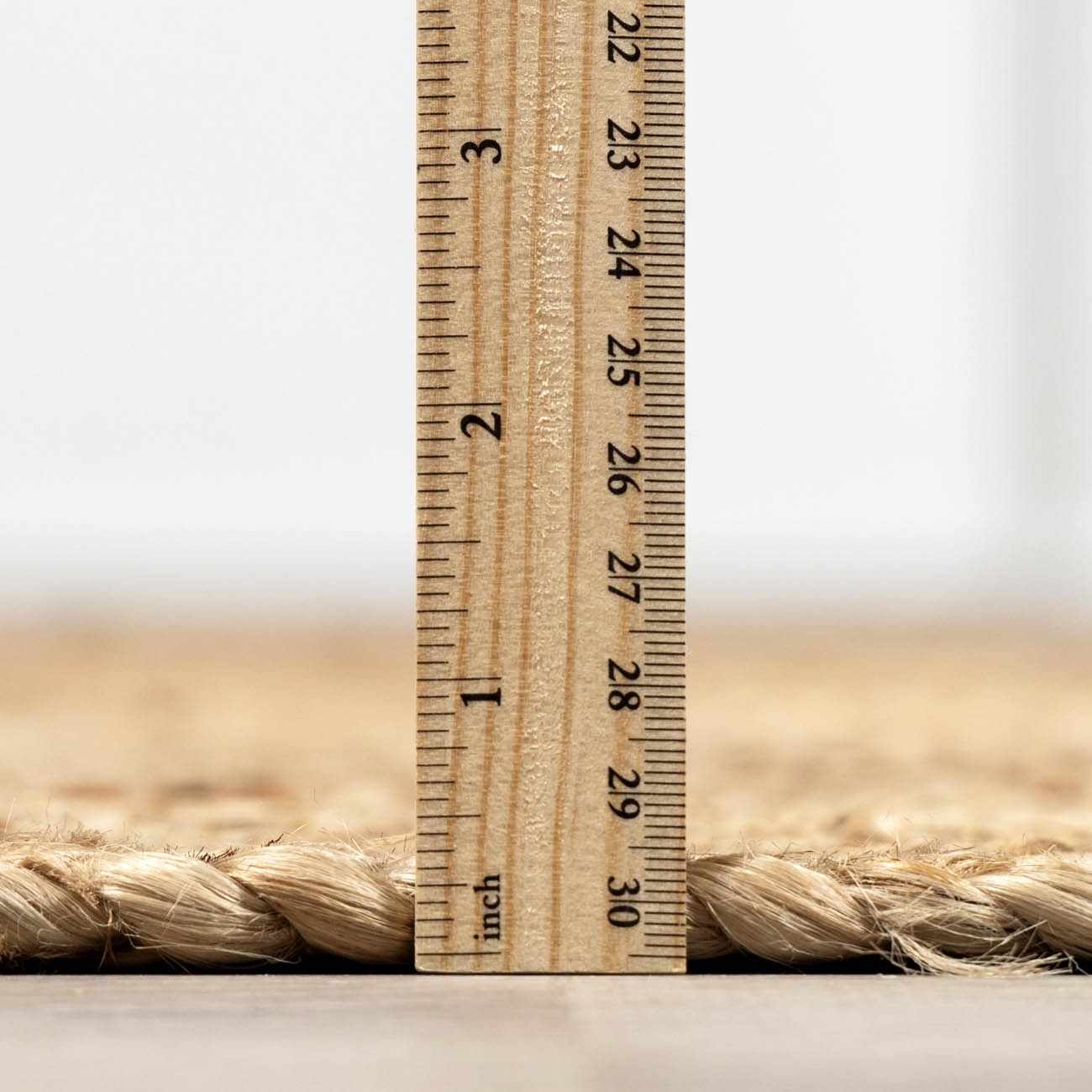 Shippagan Braided Jute Area Rug