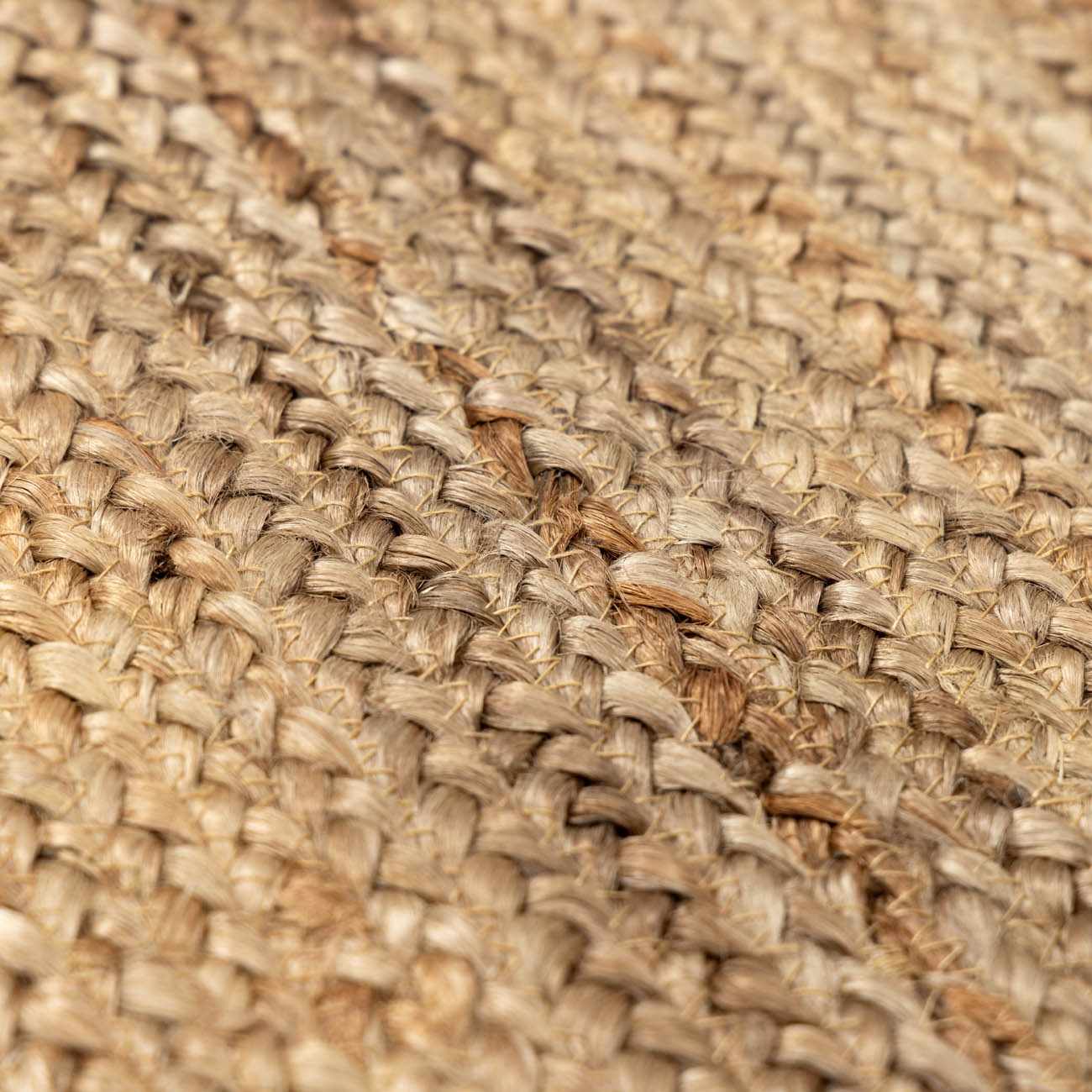 Shippagan Braided Jute Area Rug