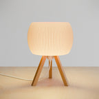 Orb Lamp-1