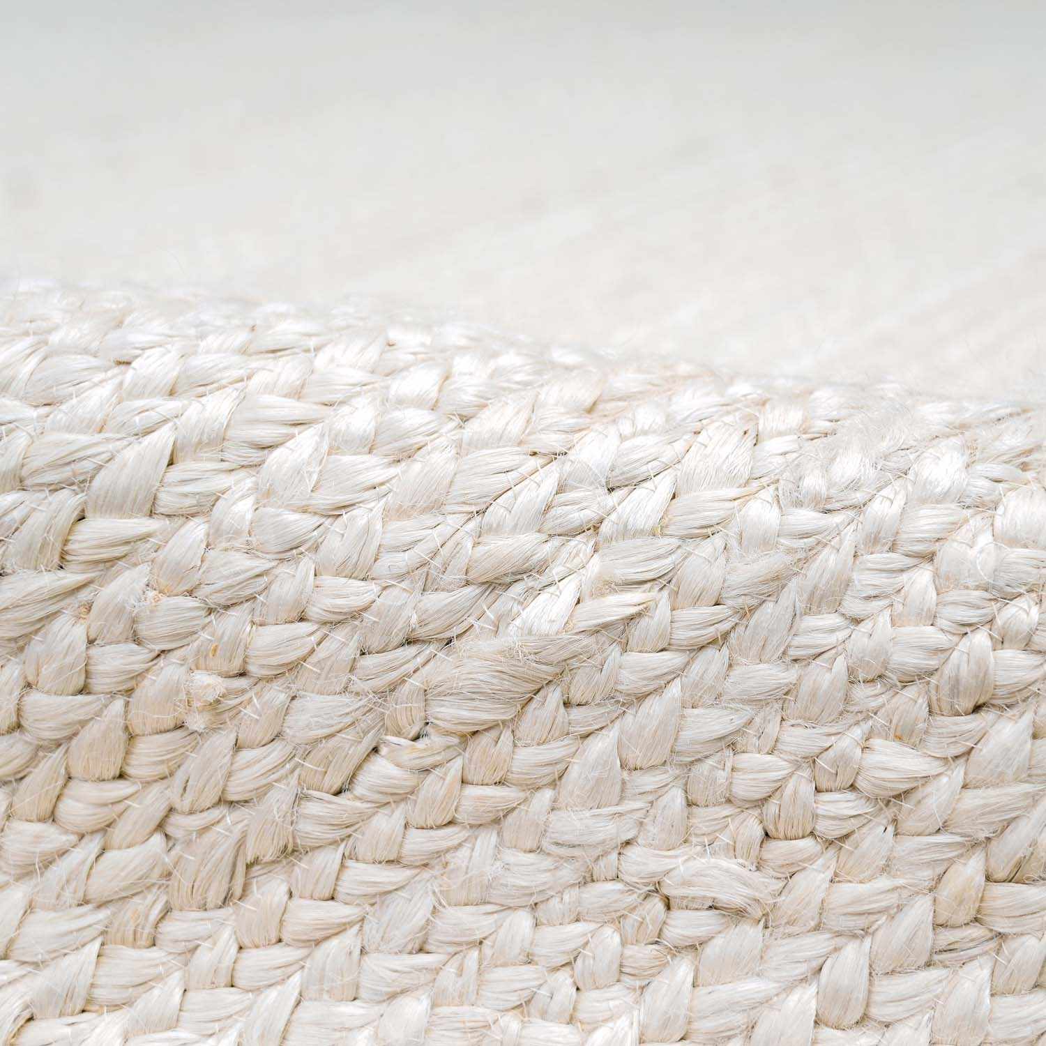 Pangnir Braided Jute Area Rug
