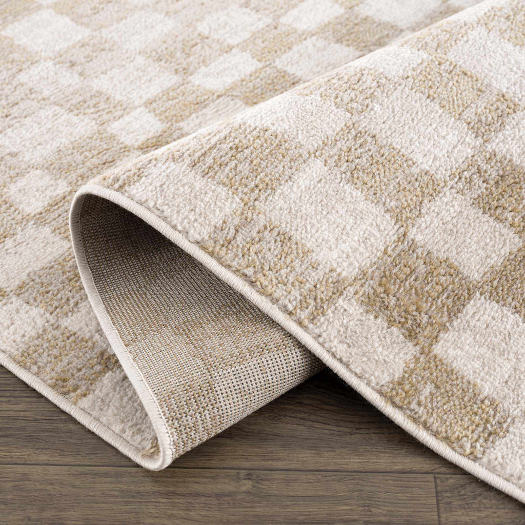Benjy Cream & Gold Checkered Area Rug | Distressed Plush Design