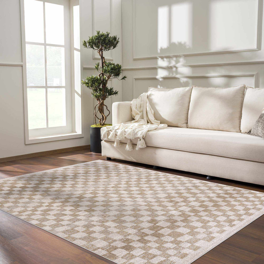 Benjy Cream & Gold Checkered Area Rug | Distressed Plush Design
