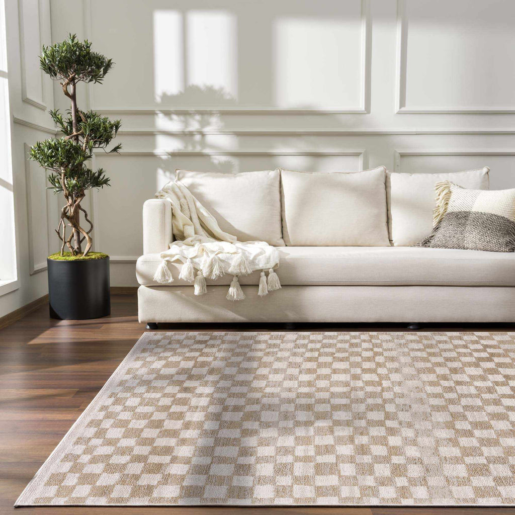 Benjy Cream & Gold Checkered Area Rug | Distressed Plush Design