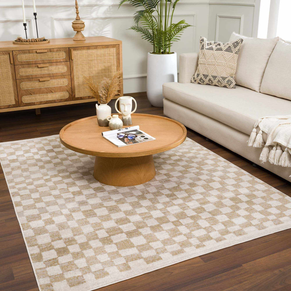 Benjy Cream & Gold Checkered Area Rug | Distressed Plush Design