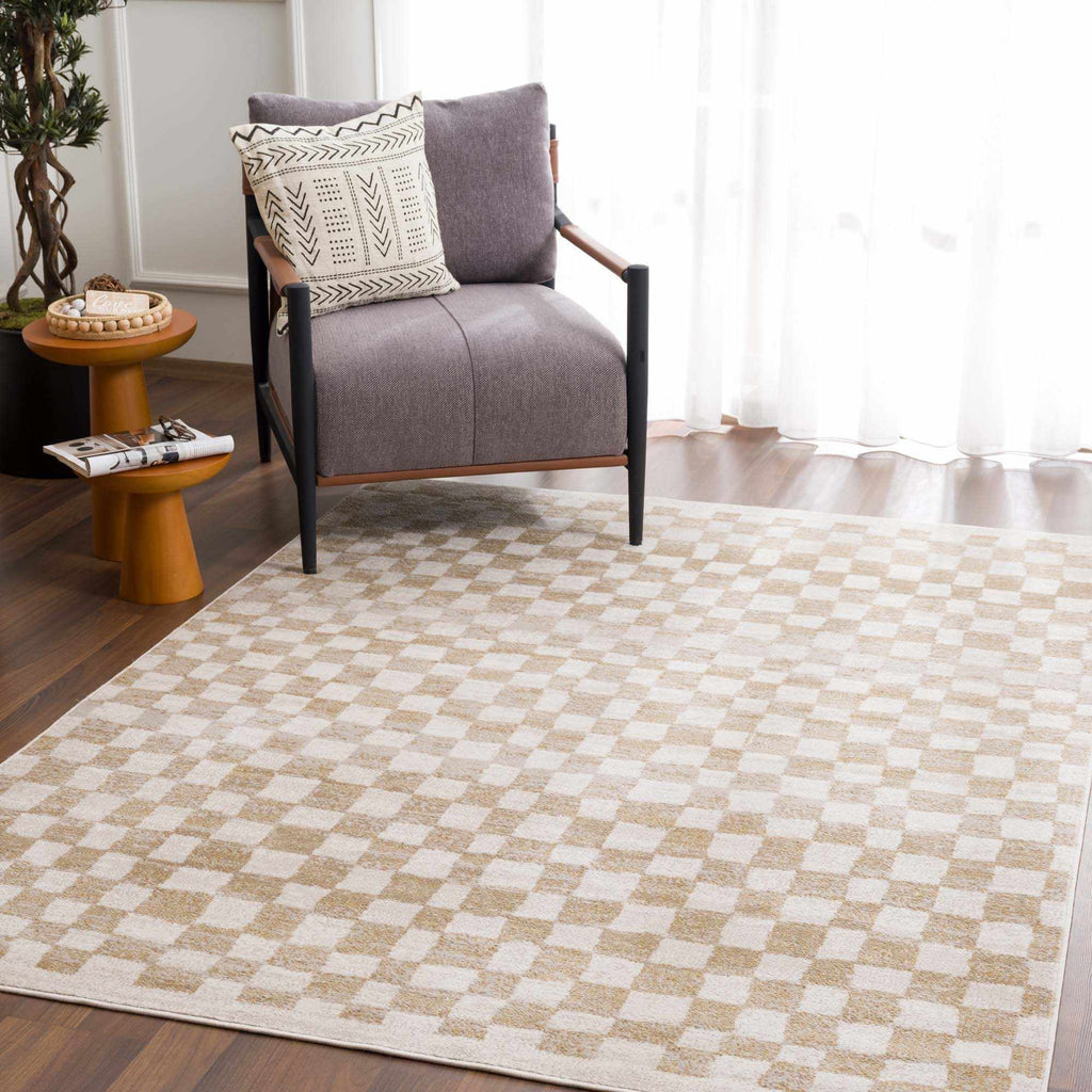 Benjy Cream & Gold Checkered Area Rug | Distressed Plush Design