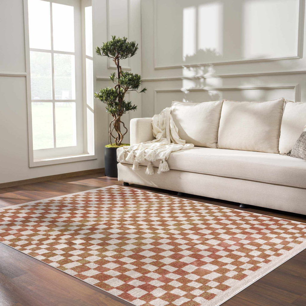 Benjy Cream & Salmon Checkered Area Rug | Boho Distressed Design