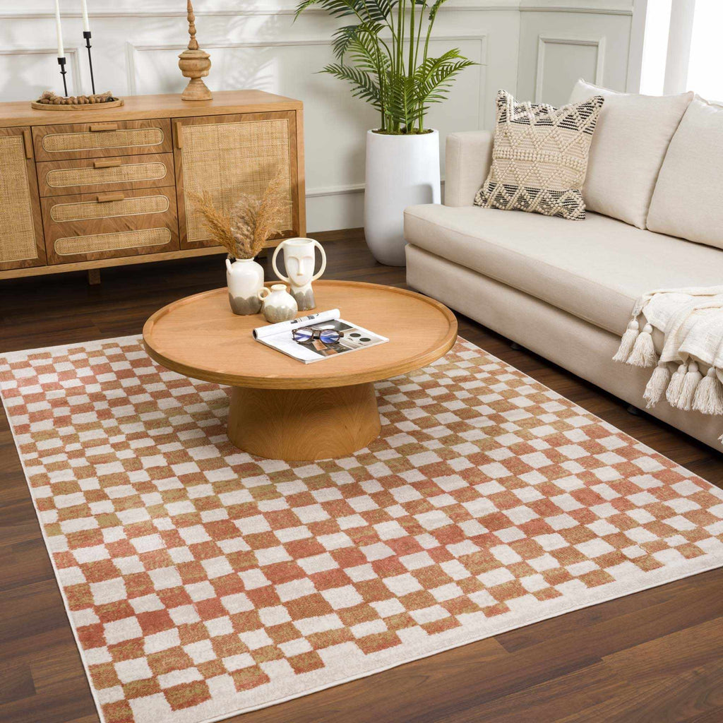 Benjy Cream & Salmon Checkered Area Rug | Boho Distressed Design
