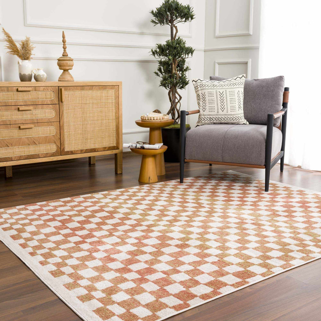Benjy Cream & Salmon Checkered Area Rug | Boho Distressed Design