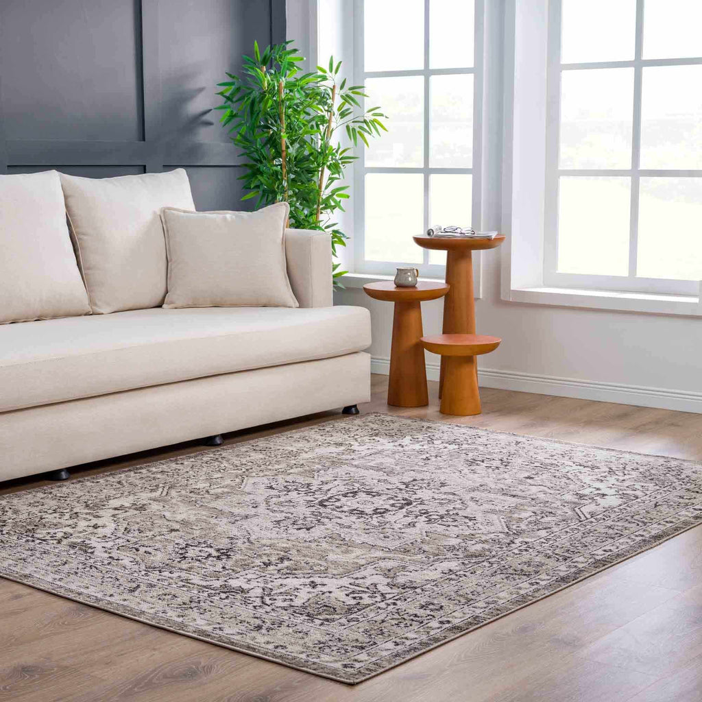 Albie Beige Area Rug | Traditional Iranian-Inspired Design
