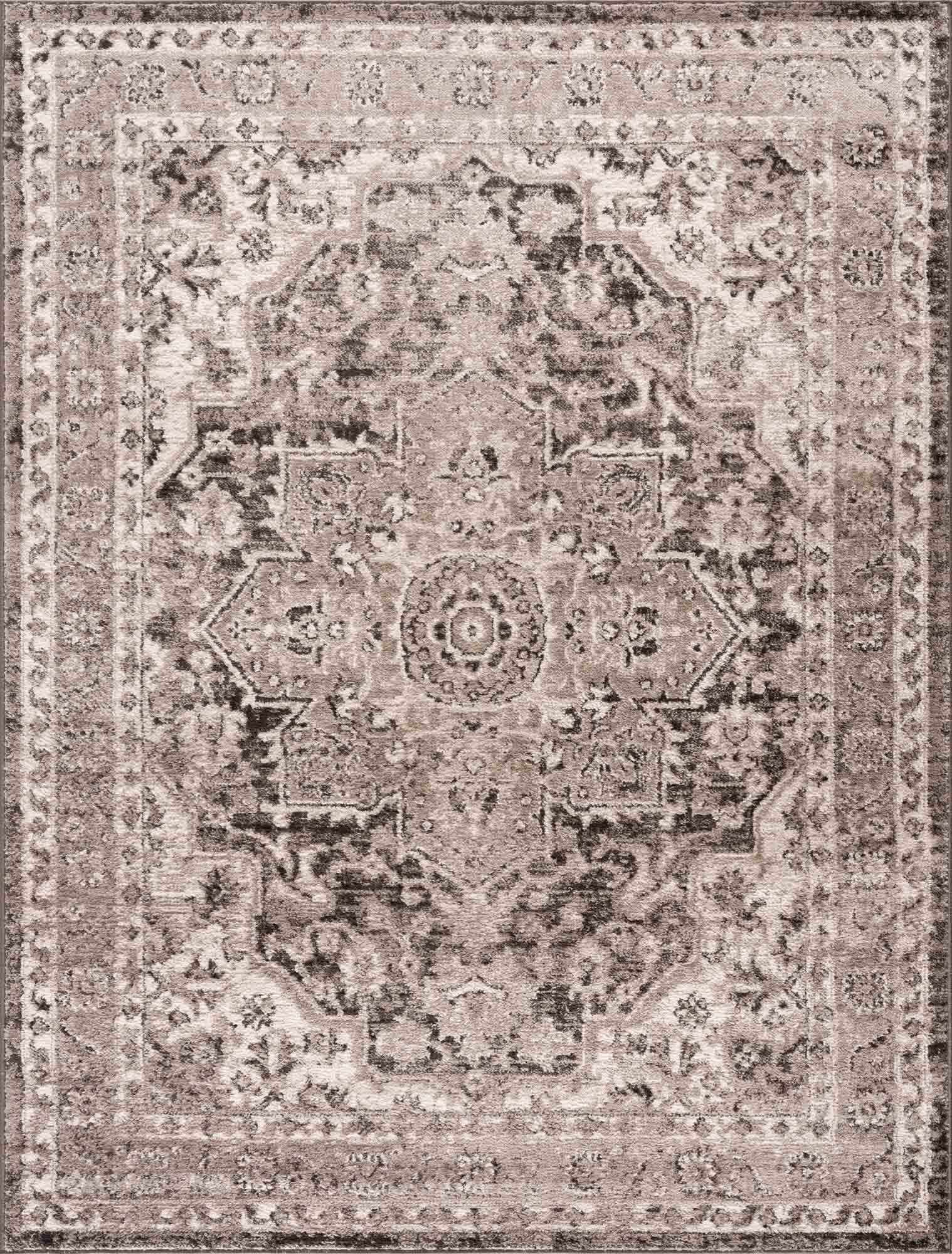Albie Charcoal & Beige Area Rug | Traditional Iranian-Inspired Design
