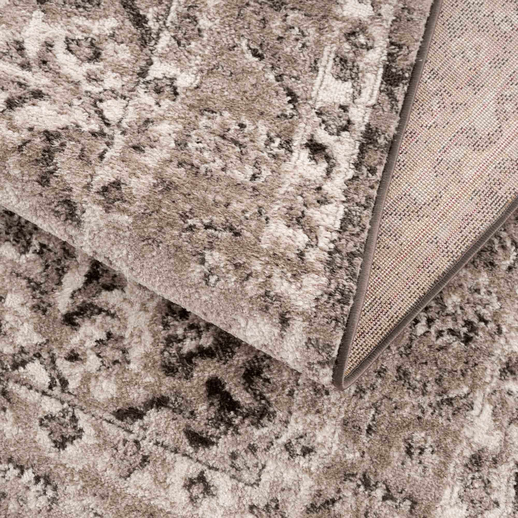 Albie Charcoal & Beige Area Rug | Traditional Iranian-Inspired Design