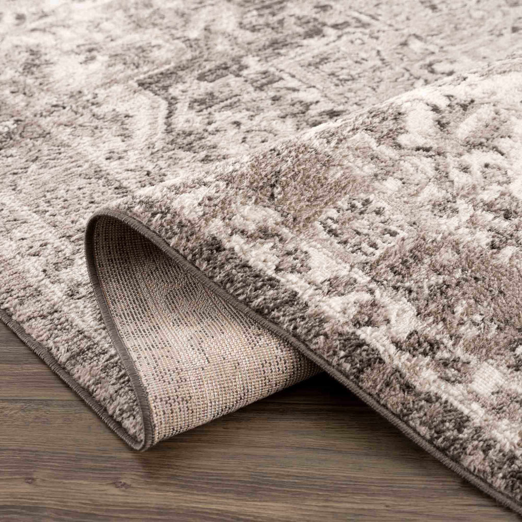 Albie Charcoal & Beige Area Rug | Traditional Iranian-Inspired Design