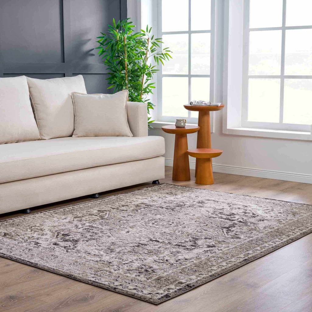 Albie Charcoal & Beige Area Rug | Traditional Iranian-Inspired Design