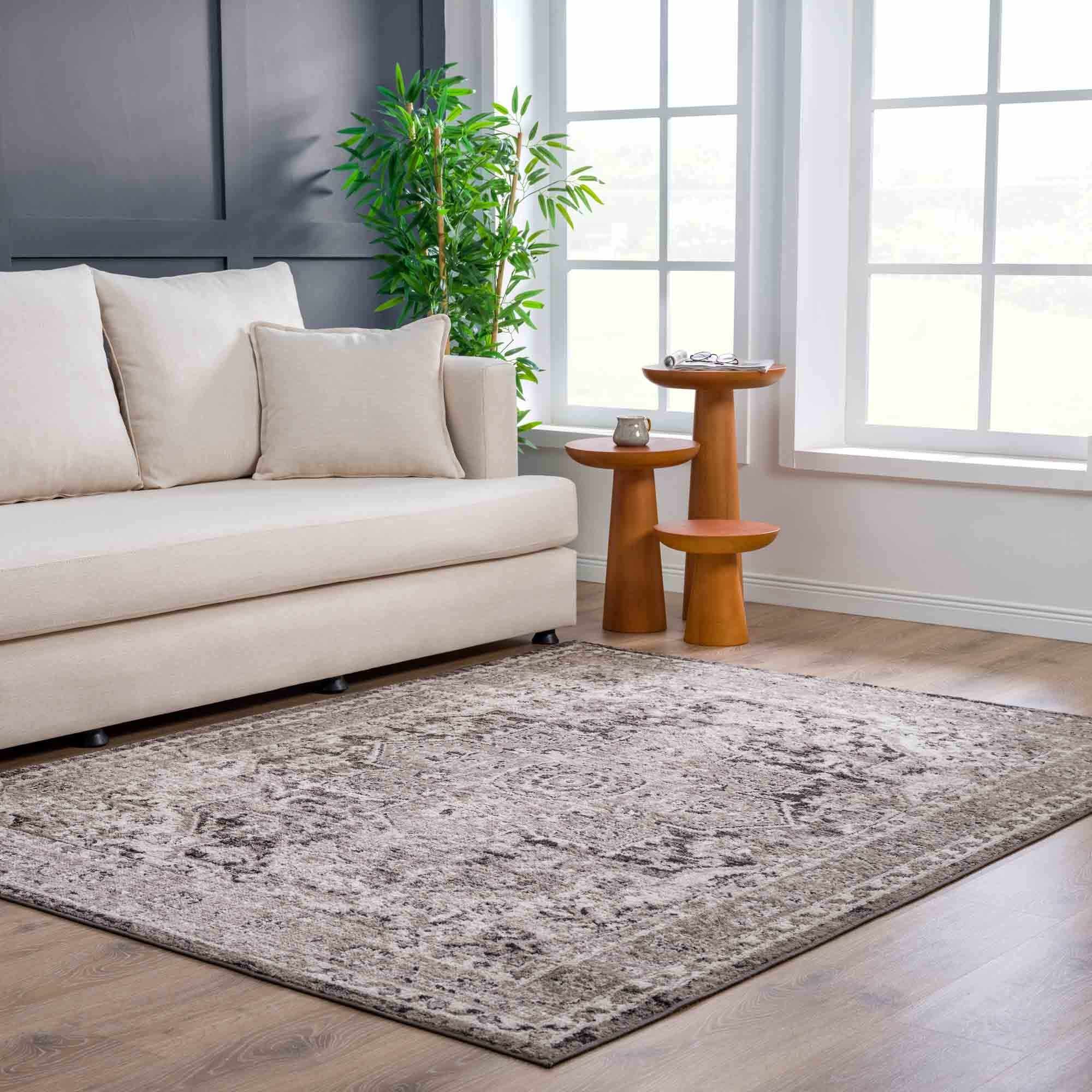 Albie Charcoal & Beige Area Rug | Traditional Iranian-Inspired Design
