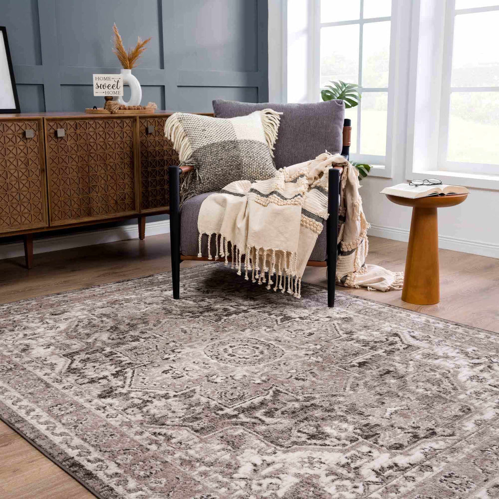 Albie Charcoal & Beige Area Rug | Traditional Iranian-Inspired Design