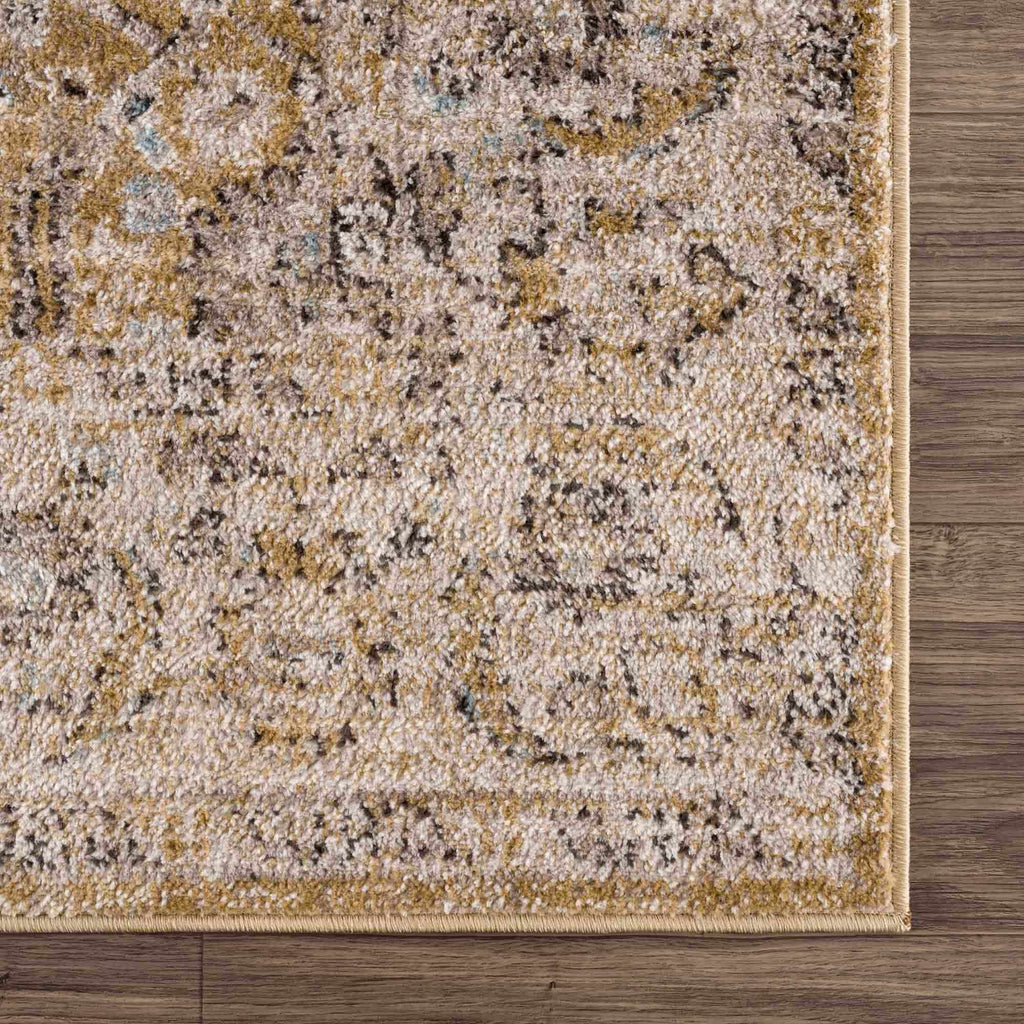 Anana Gold & Beige Area Rug | Distressed Anatolian-Inspired Design
