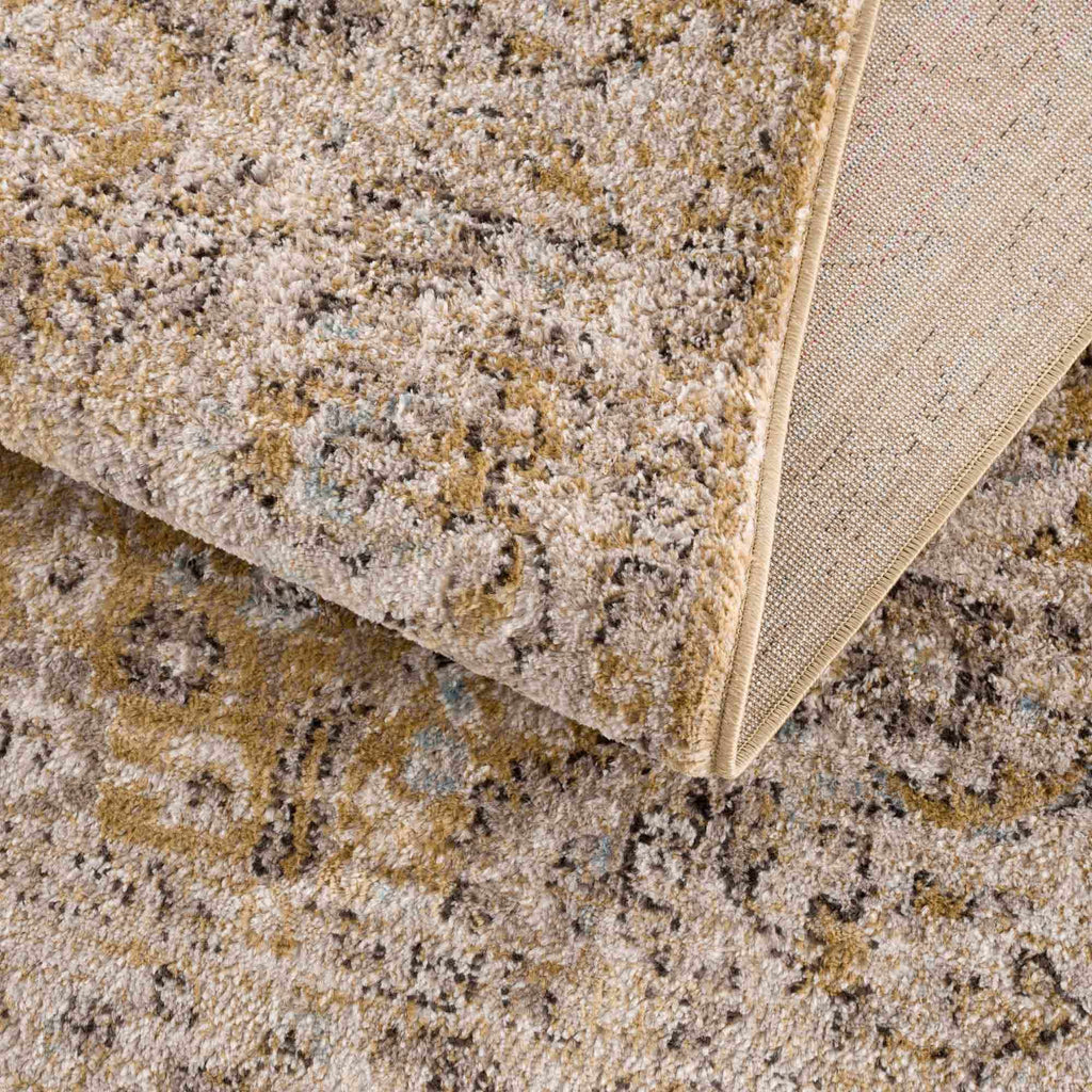 Anana Gold & Beige Area Rug | Distressed Anatolian-Inspired Design