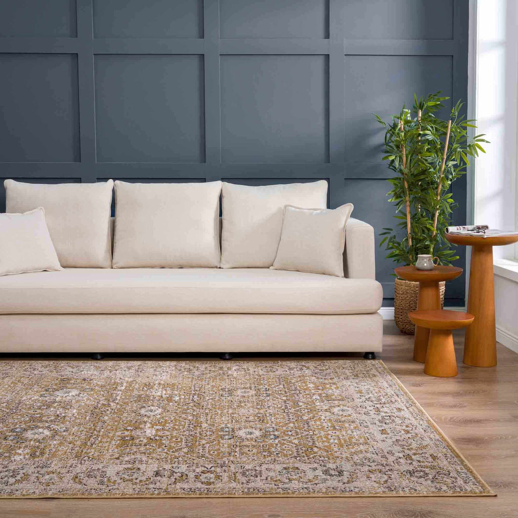 Anana Gold & Beige Area Rug | Distressed Anatolian-Inspired Design