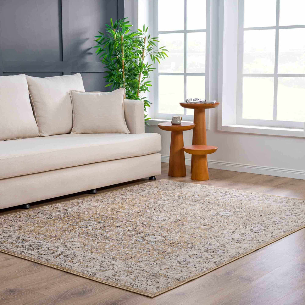 Anana Gold & Beige Area Rug | Distressed Anatolian-Inspired Design