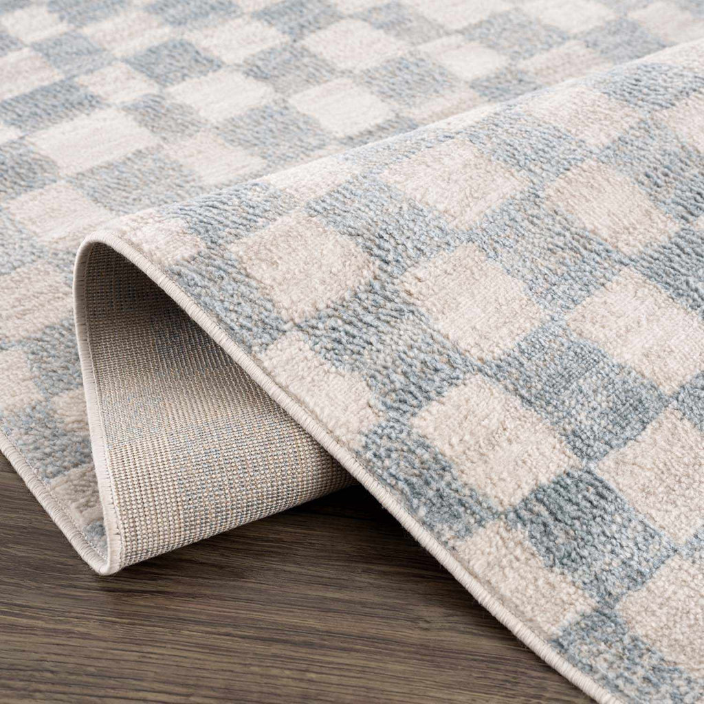 Benjy Cream & Light Blue Checkered Area Rug | Distressed Plush Design