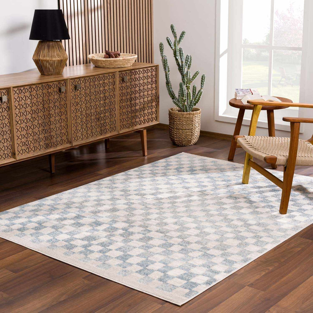Benjy Cream & Light Blue Checkered Area Rug | Distressed Plush Design