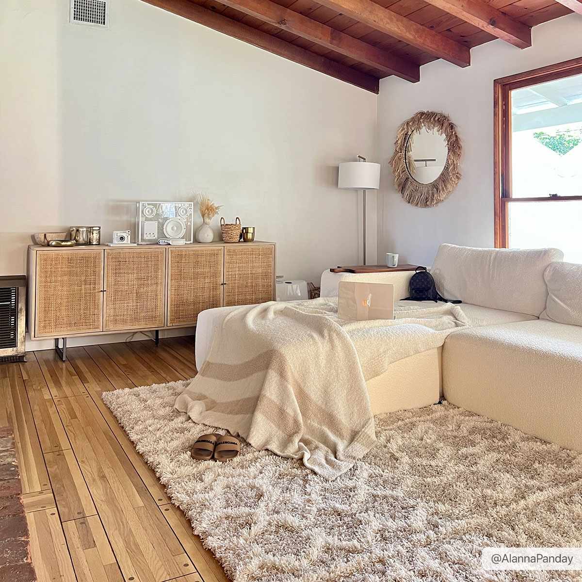 Prompton Plush Area Rug