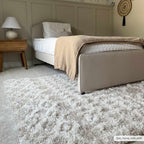 Prompton Plush Area Rug
