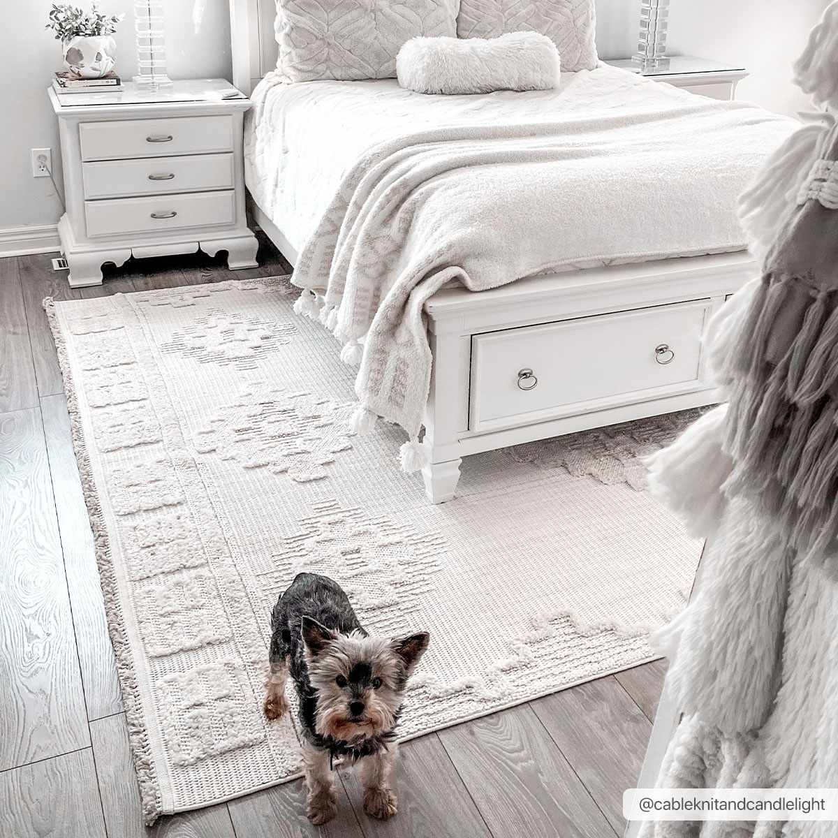 Rosales Rustic Area Rug