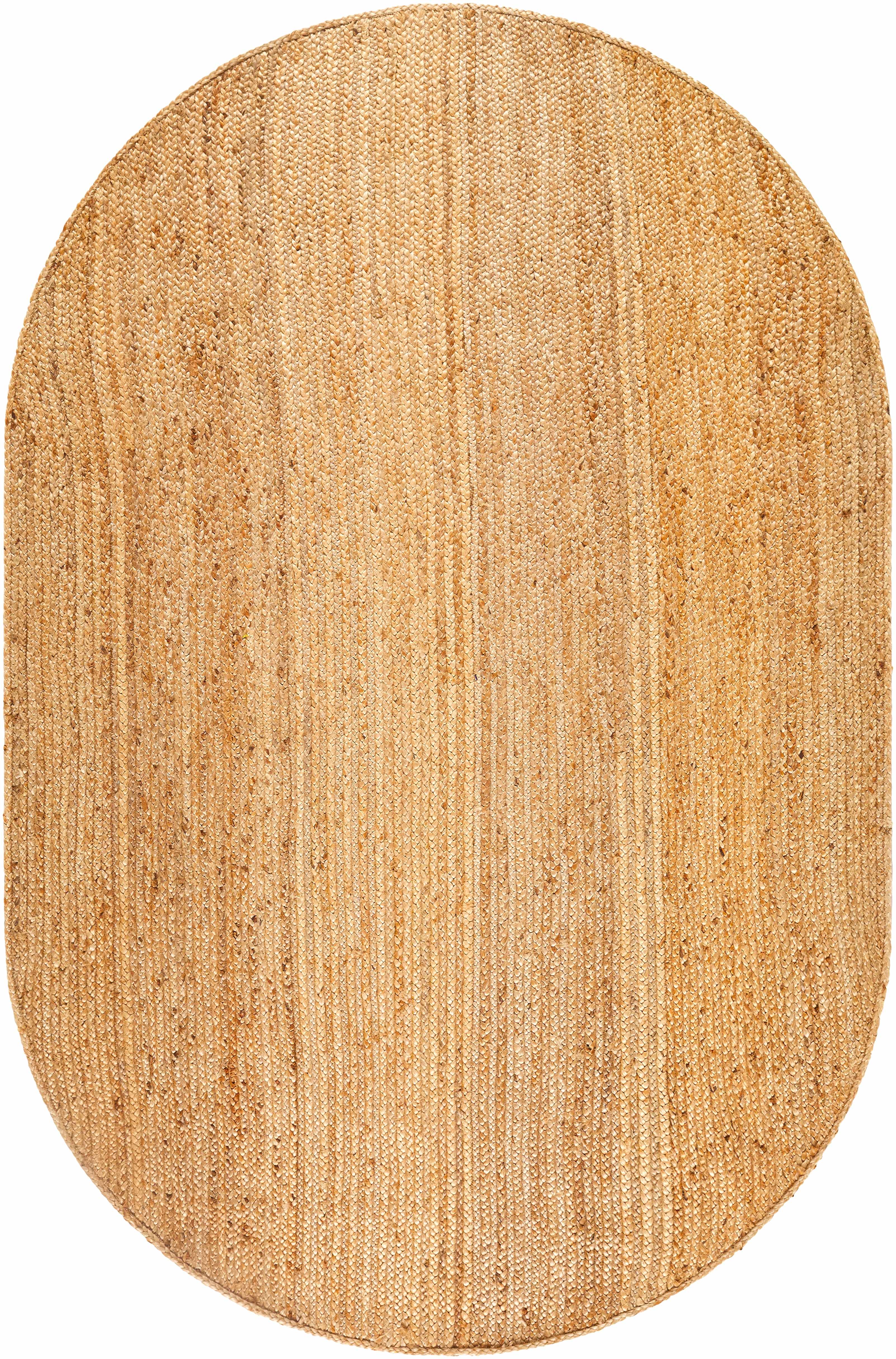 Shippagan Braided Jute Area Rug