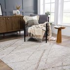 Baqer Indoor/Outdoor Area Rug