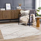 Baqer Indoor/Outdoor Area Rug