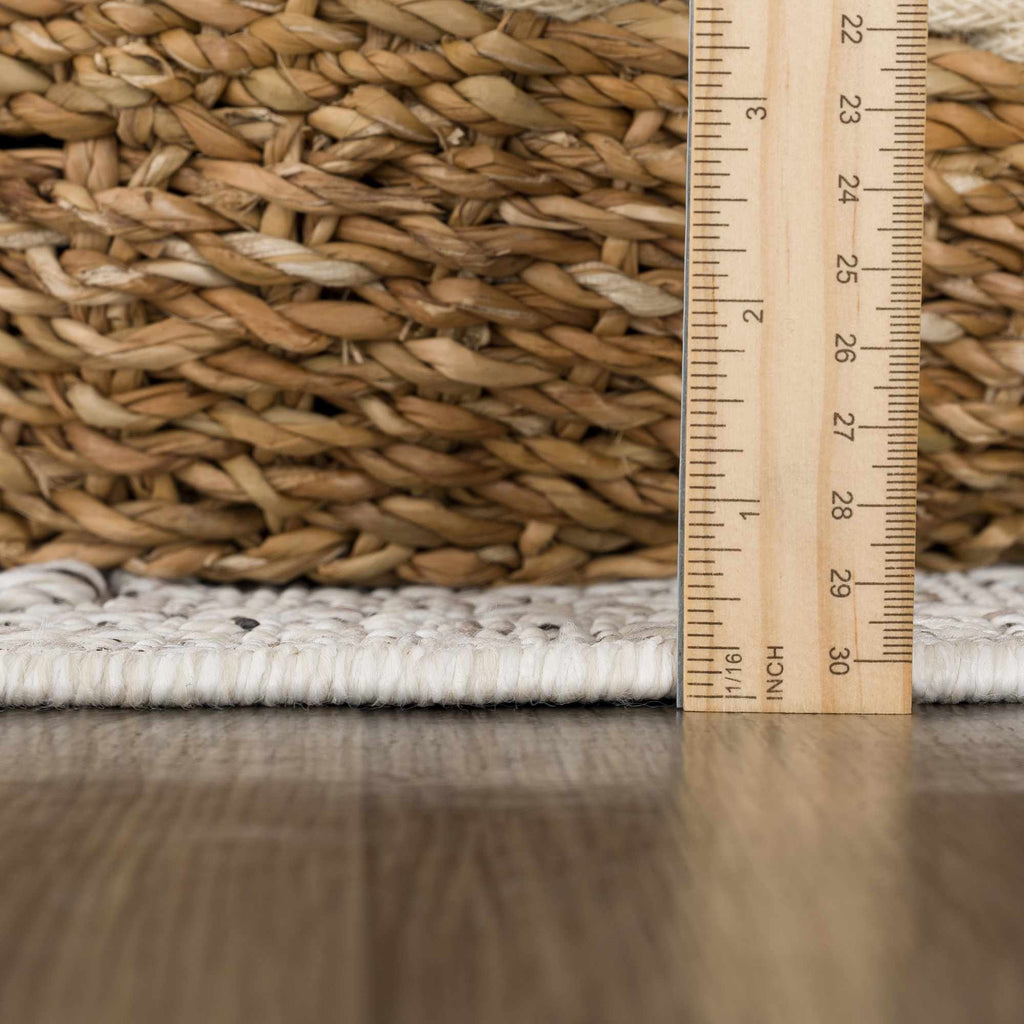 Baqer Bone & Taupe Indoor/Outdoor Area Rug | Crosshatch Design – Hauteloom