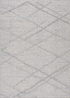 Baqer Indoor/Outdoor Area Rug
