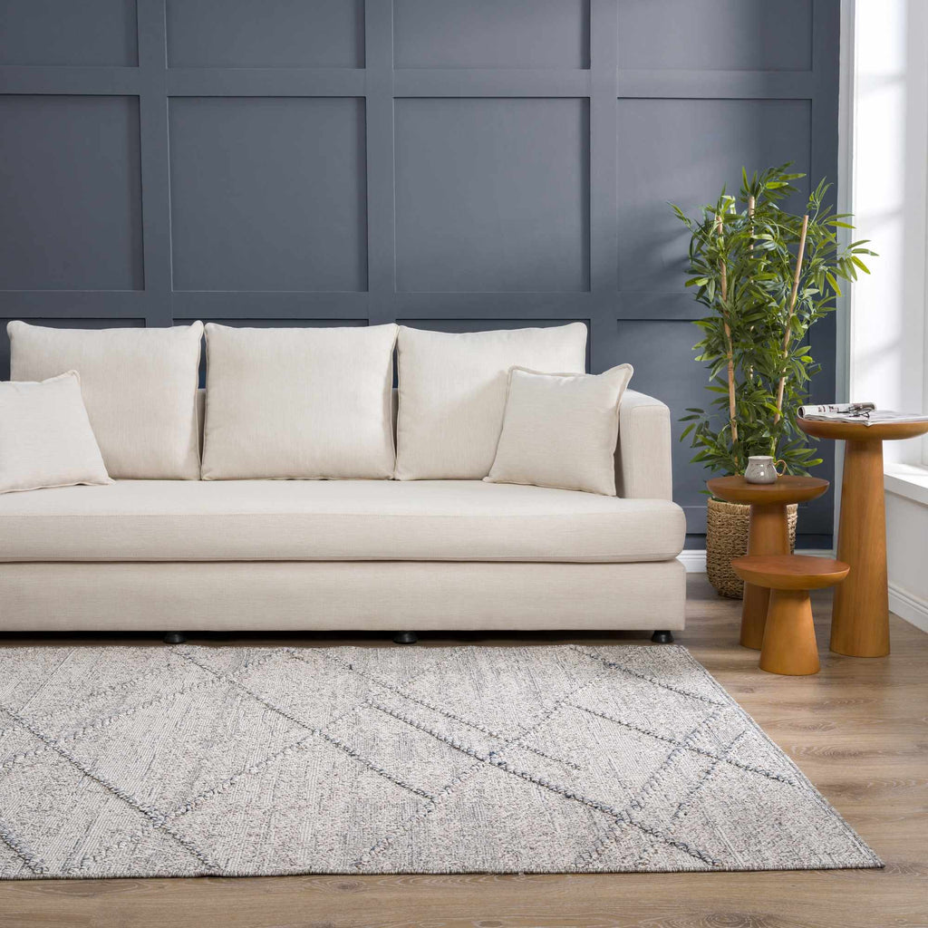 Baqer Taupe & Gray Indoor/Outdoor Area Rug | Crosshatch Design