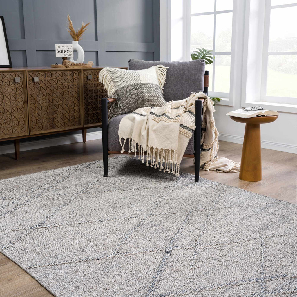 Baqer Taupe & Gray Indoor/Outdoor Area Rug | Crosshatch Design