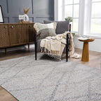 Baqer Indoor/Outdoor Area Rug