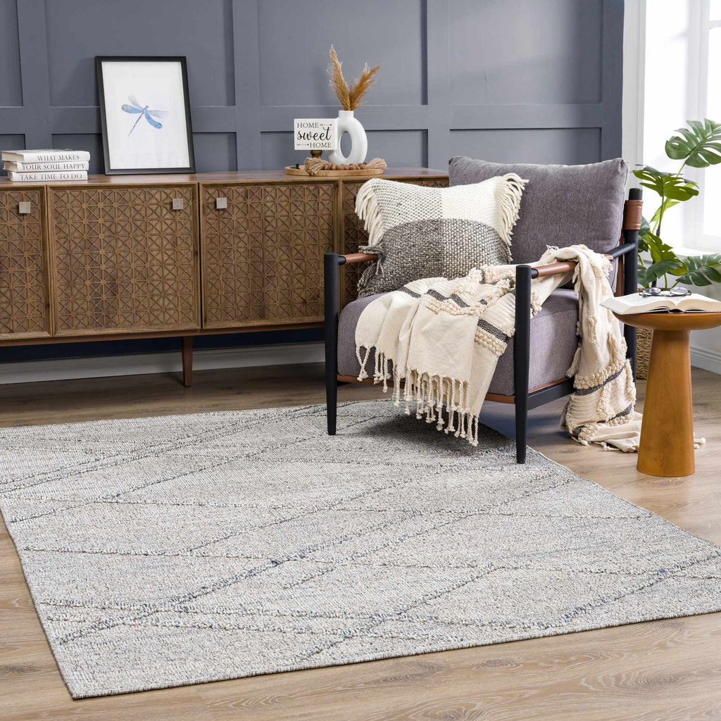 Baqer Taupe & Gray Indoor/Outdoor Area Rug | Crosshatch Design