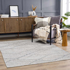 Baqer Indoor/Outdoor Area Rug