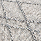 Baqer Indoor/Outdoor Area Rug