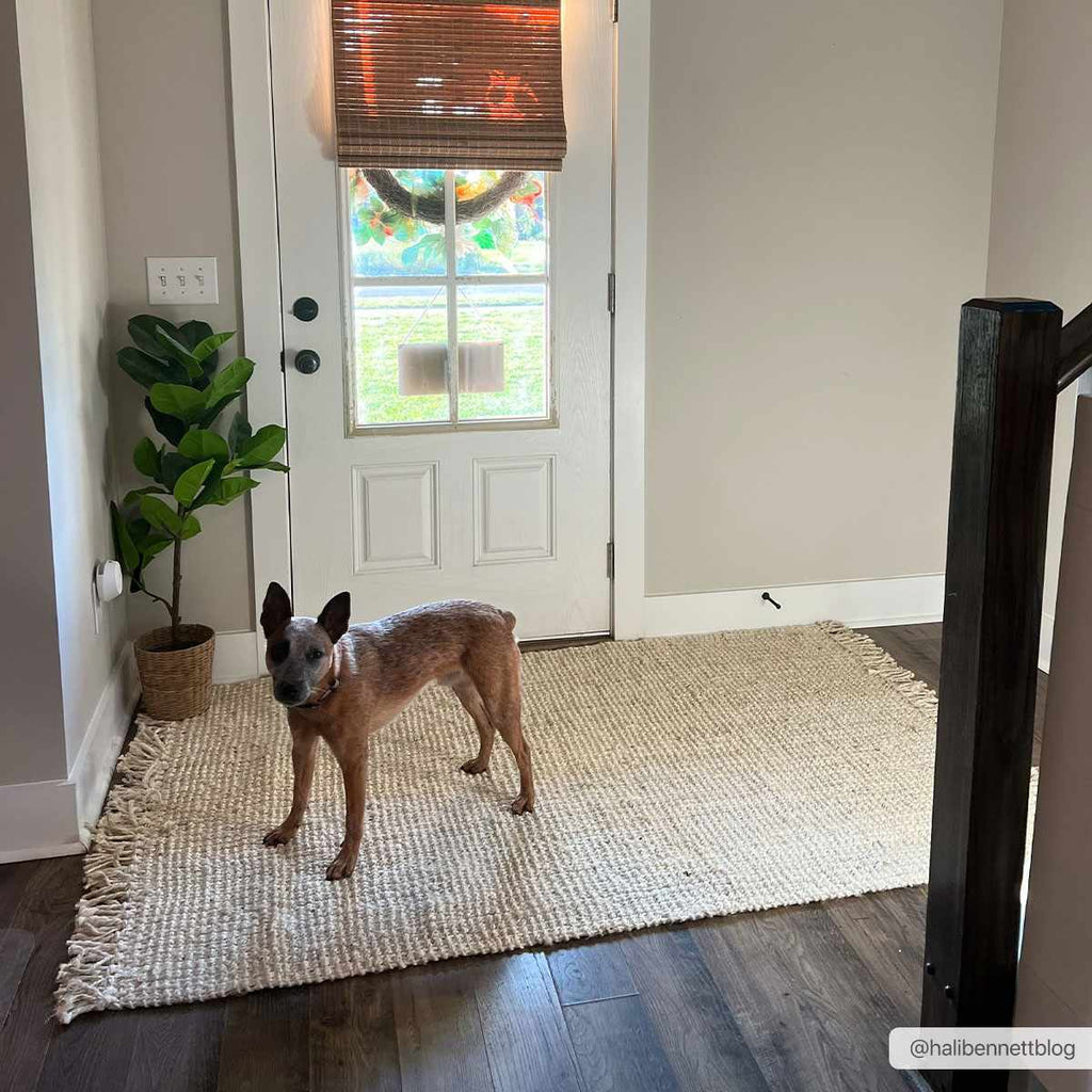Senneterre Bleached Jute Area Rug
