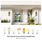 Anto Outdoor Wall Light 2-Pack