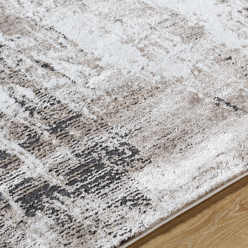 Taszi Luxe High Pile Area Rug
