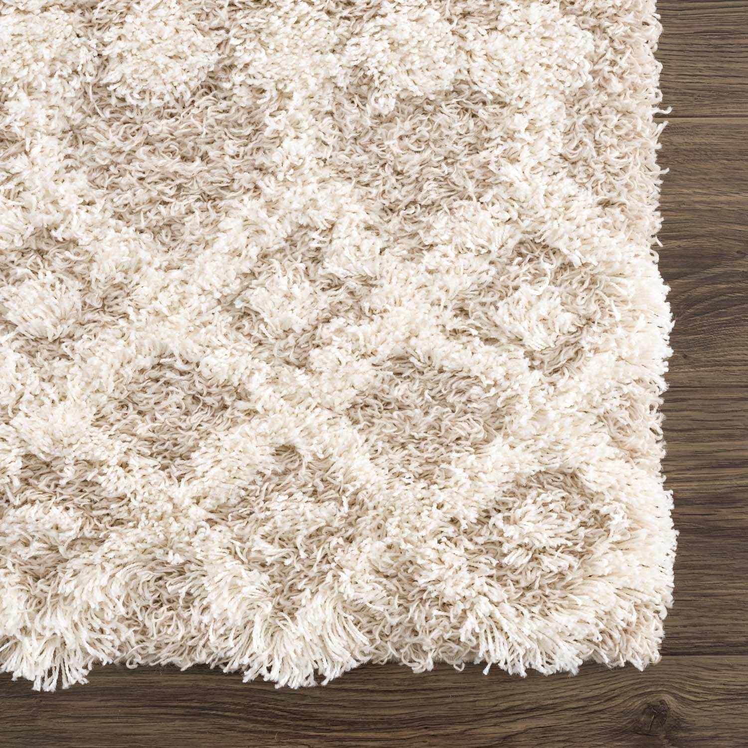Prompton Plush Area Rug