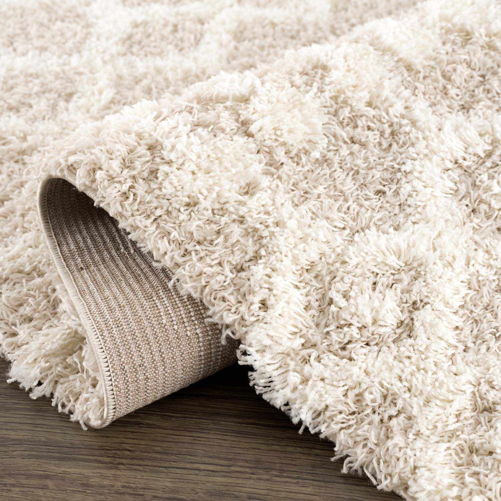Prompton Plush Area Rug