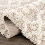 Prompton Plush Area Rug