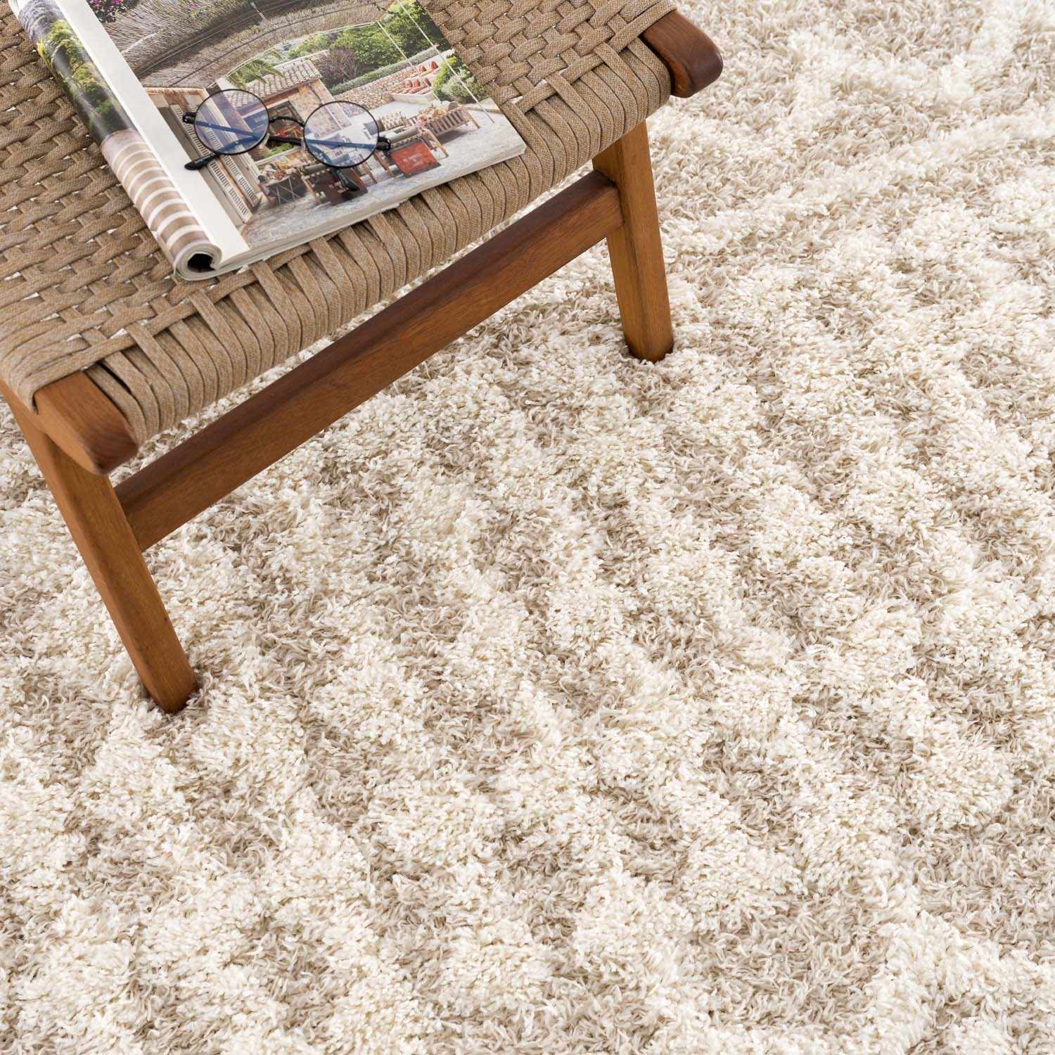 Prompton Plush Area Rug