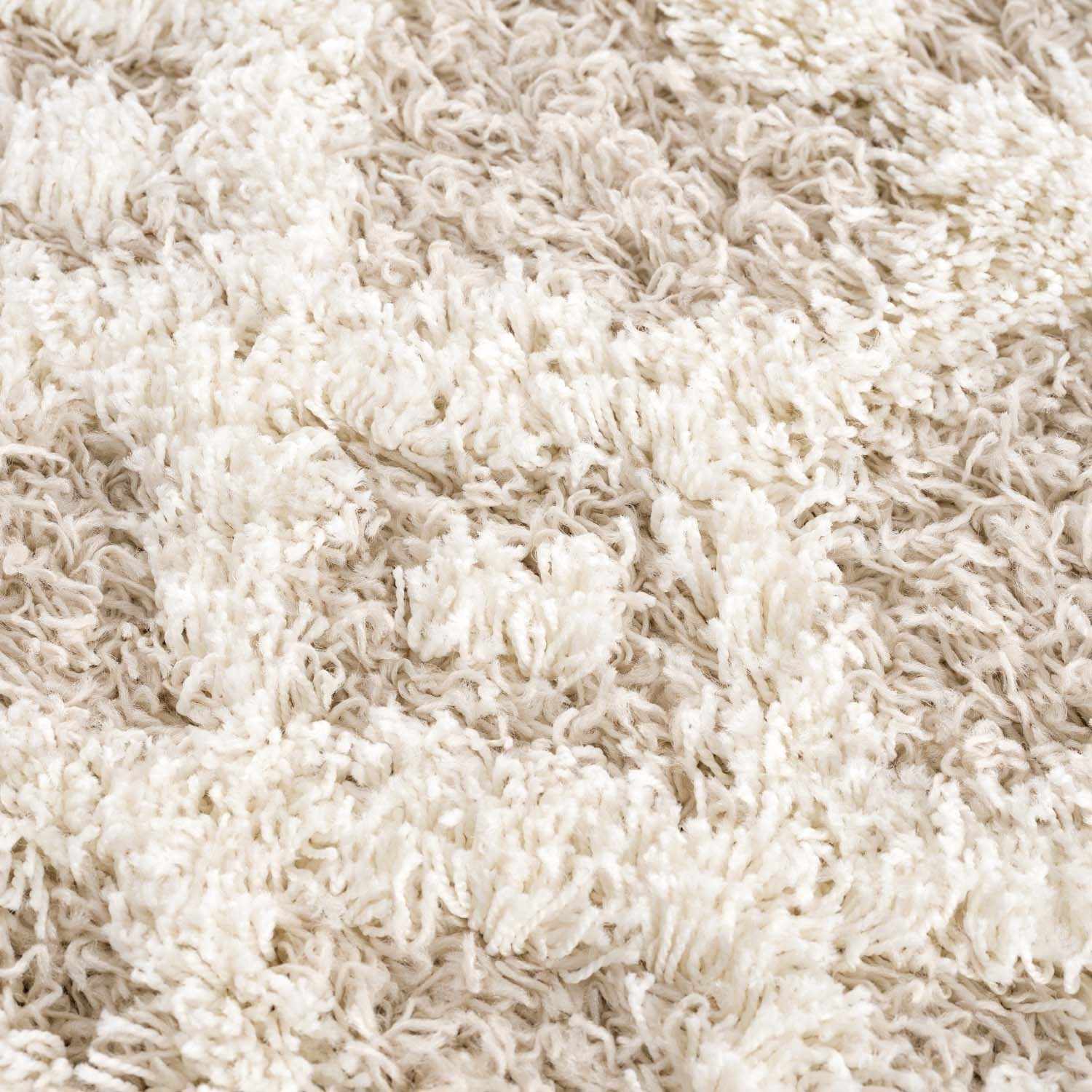 Prompton Plush Area Rug